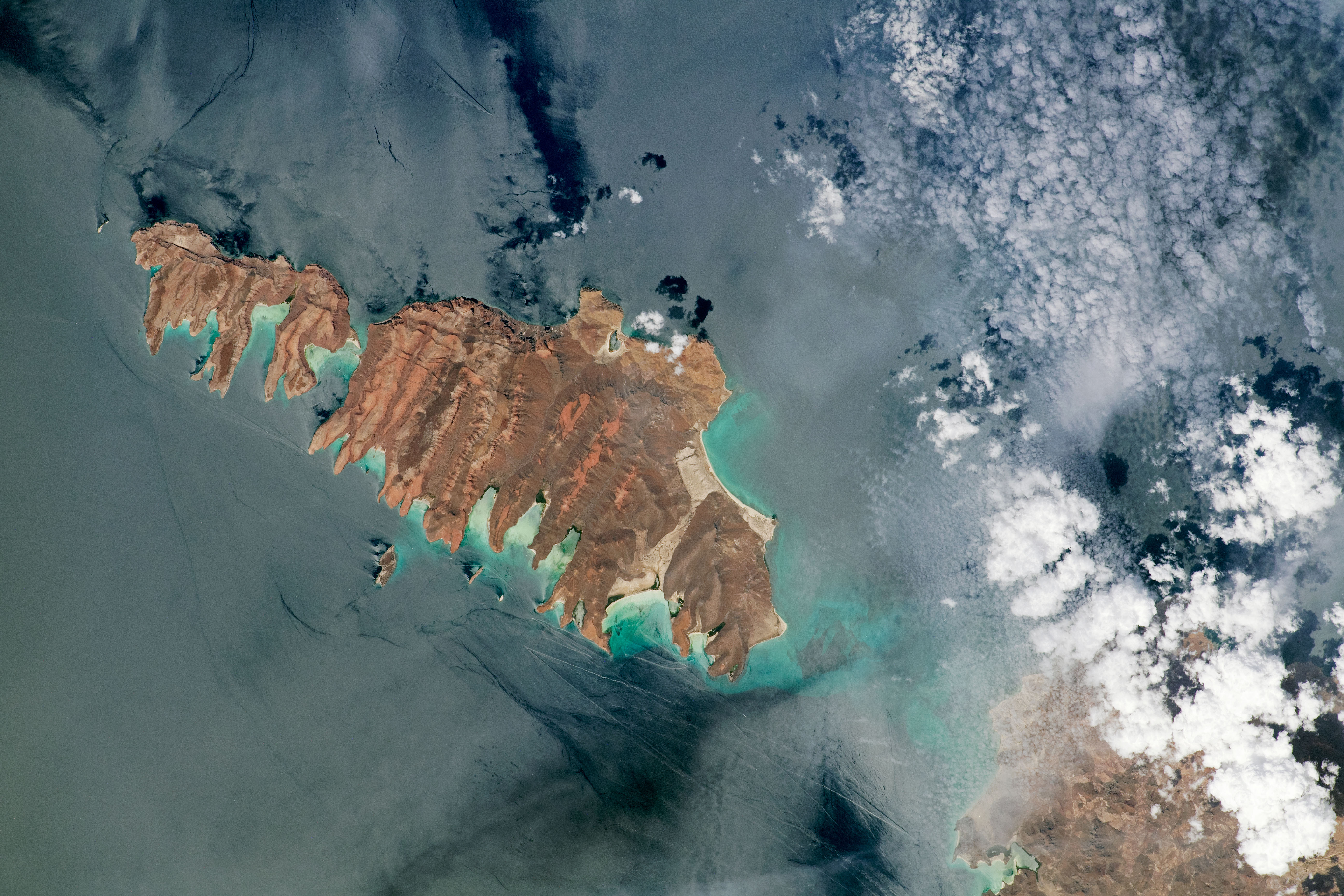 Espíritu Santo Archipelago - related image preview
