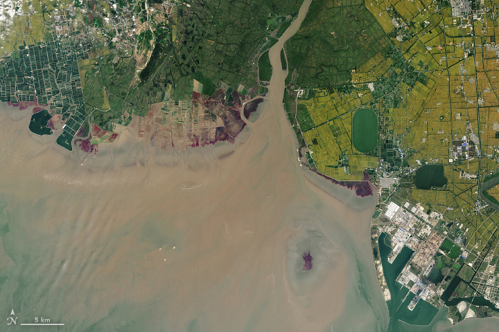 A Changing Estuary Lined With Red - related image preview