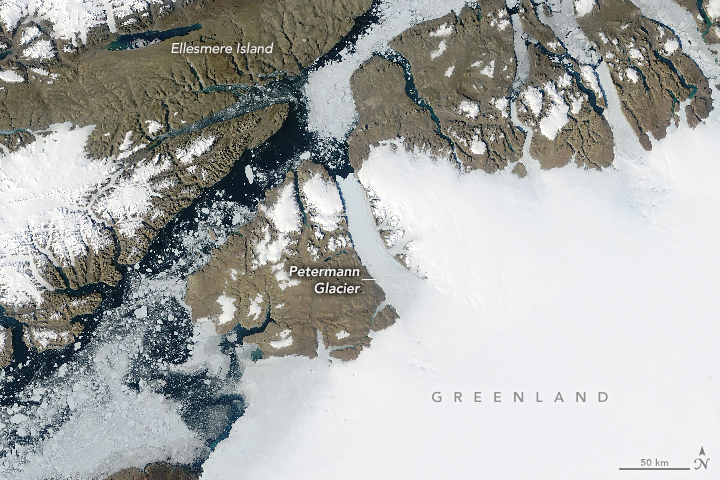 Melt rates in the kilometer-size grounding zone of Petermann Glacier,  Greenland, before and during a retreat