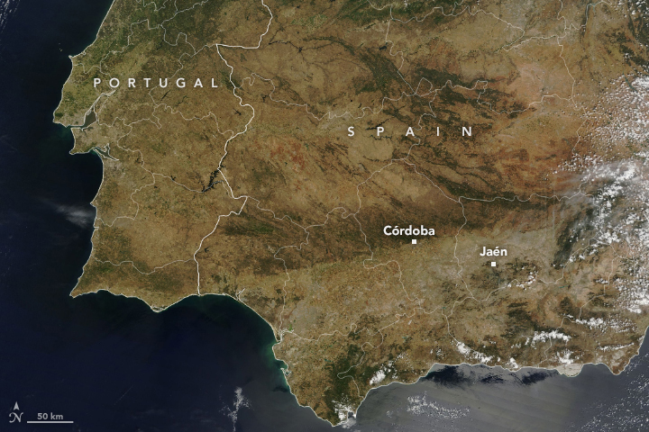 Spain Browned by Drought - related image preview