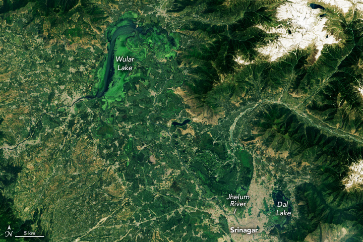 Shrinking Lakes of the Kashmir Valley
