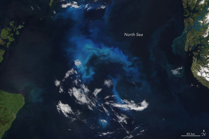 Phytoplankton Flourish in the North Sea