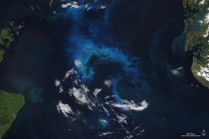 Phytoplankton Flourish in the North Sea - related image preview