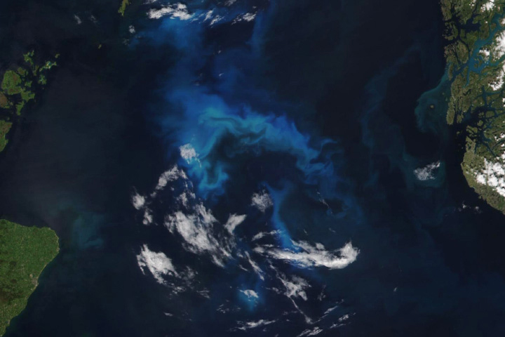 Phytoplankton Flourish in the North Sea - selected image