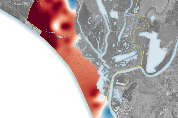 Water Woes in Doñana National Park