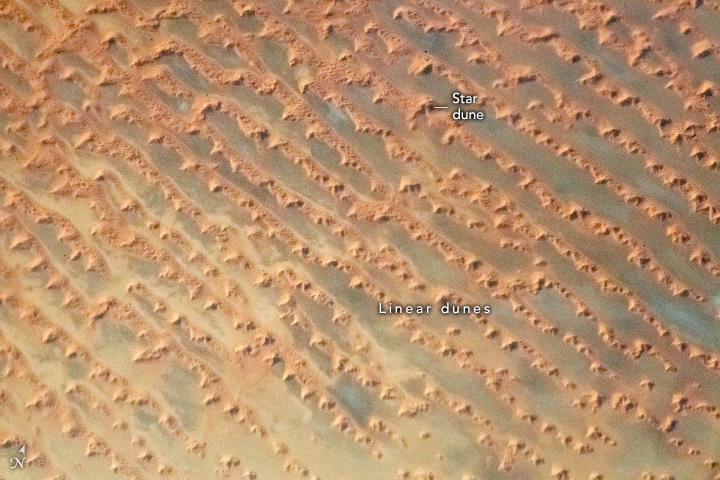 Linear and Star Dunes