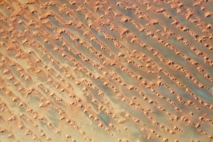 Linear and Star Dunes