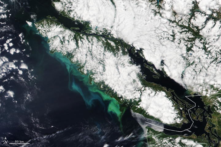 Vancouver Island’s Colorful Coastline - related image preview