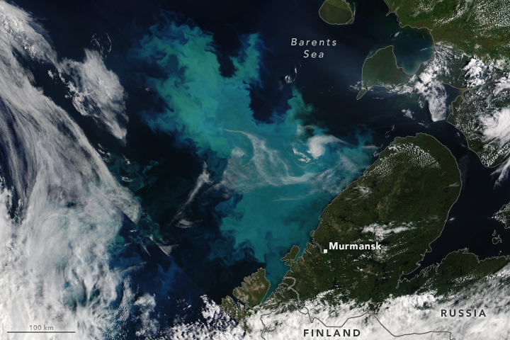 A Bloom in a Changing Barents Sea - related image preview