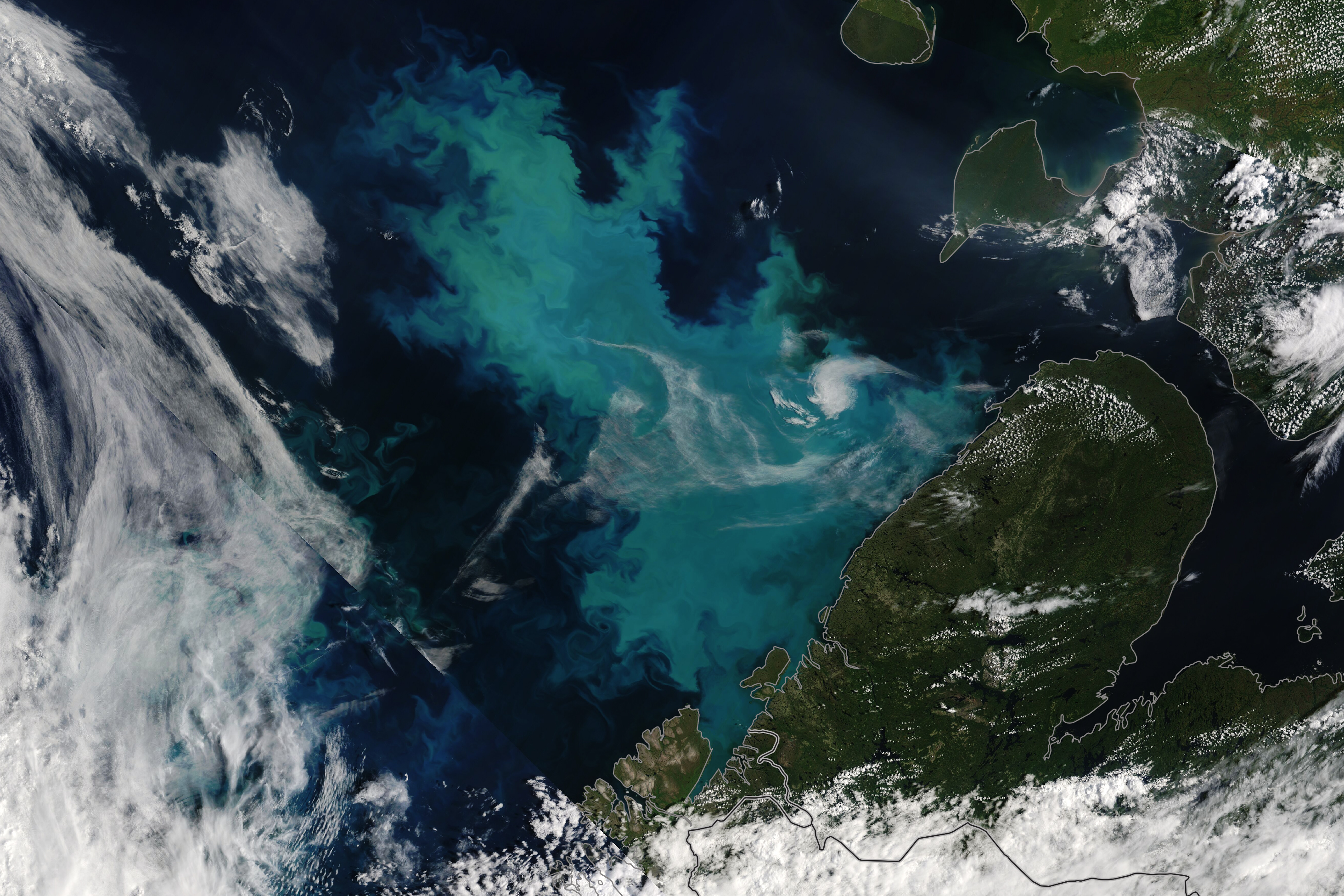 A Bloom in a Changing Barents Sea - related image preview