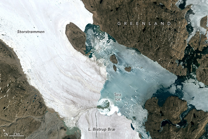 Summer Breakout in Northeast Greenland - related image preview