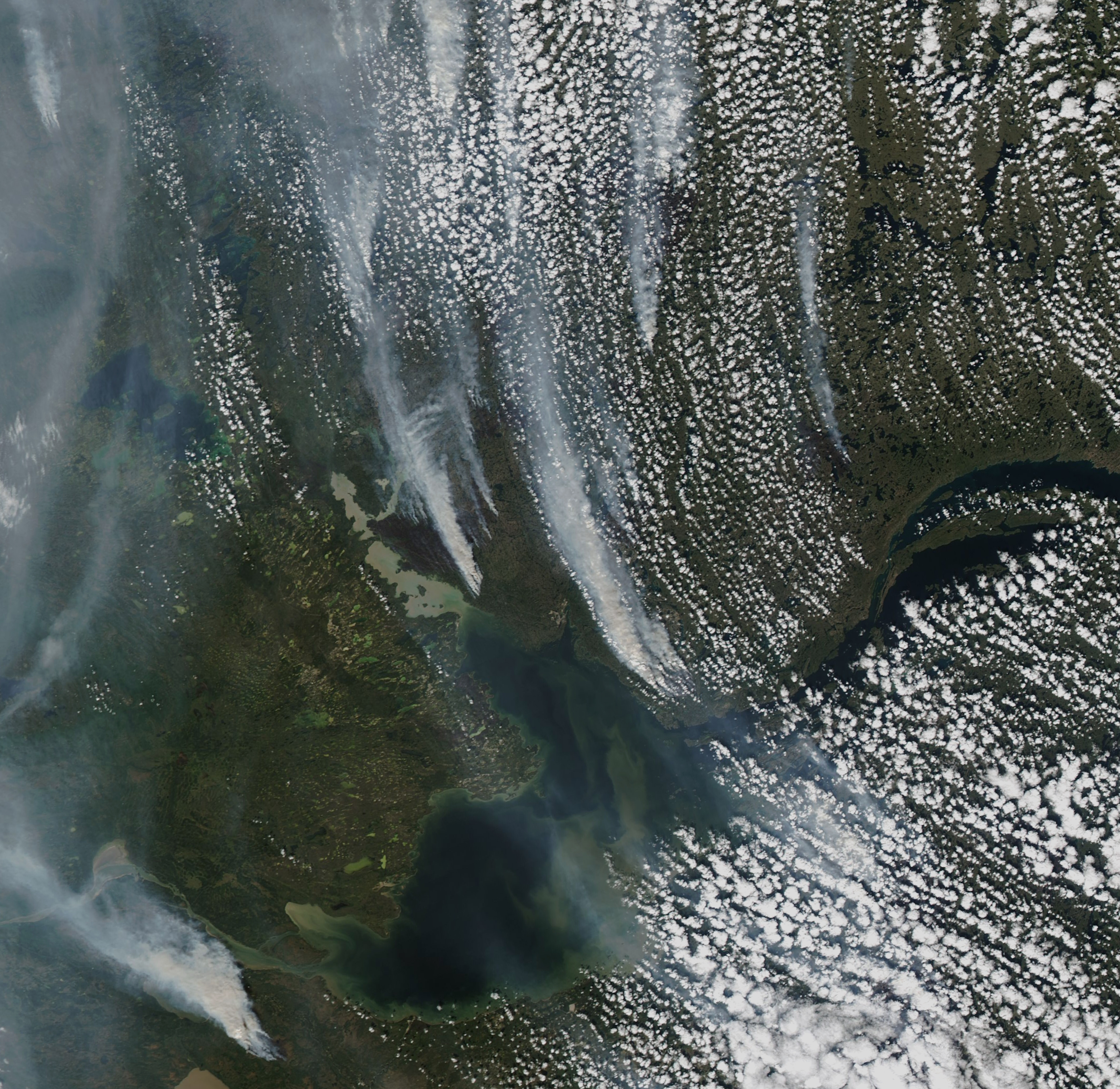 Relentless Wildfires in Canada - related image preview