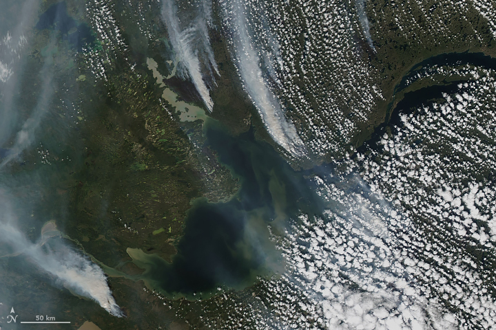 Relentless Wildfires in Canada - related image preview