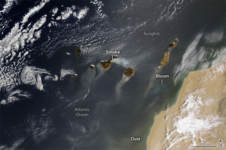 A Dynamic Day Over the Canary Islands