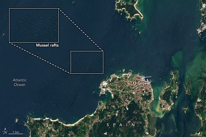 Mussel Rafts of the Rías de Arousa - related image preview