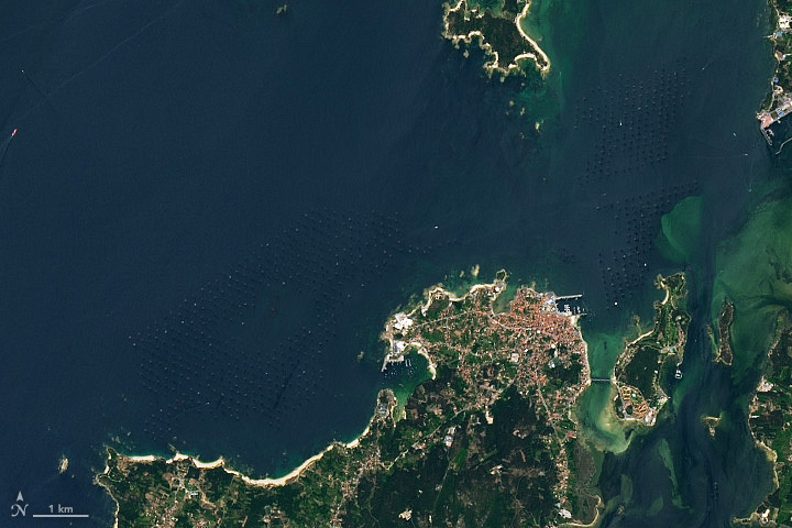 Mussel Rafts of the Rías de Arousa - related image preview