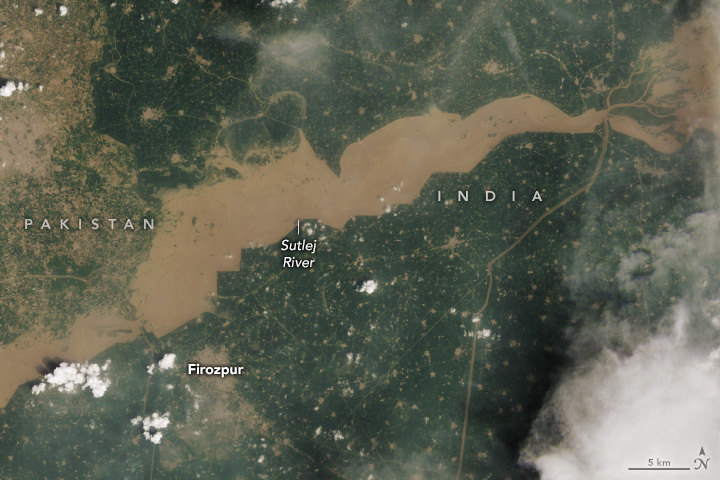 Flooding Along the Sutlej River in Punjab - related image preview