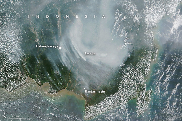 Indonesian Fires Return in 2023 - related image preview