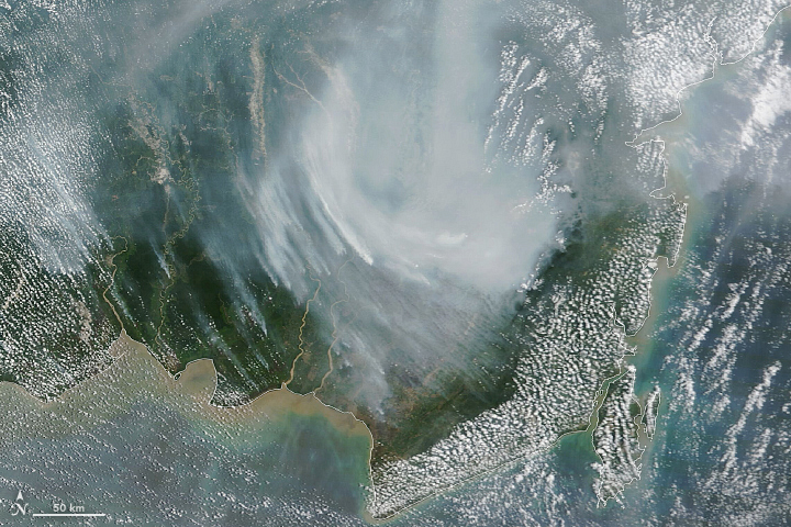 Indonesian Fires Return in 2023 - related image preview