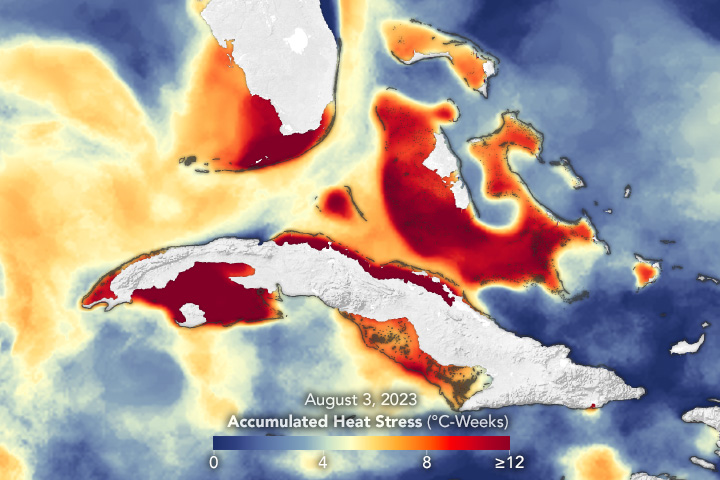 Stressful Summer for Coral Reefs - related image preview