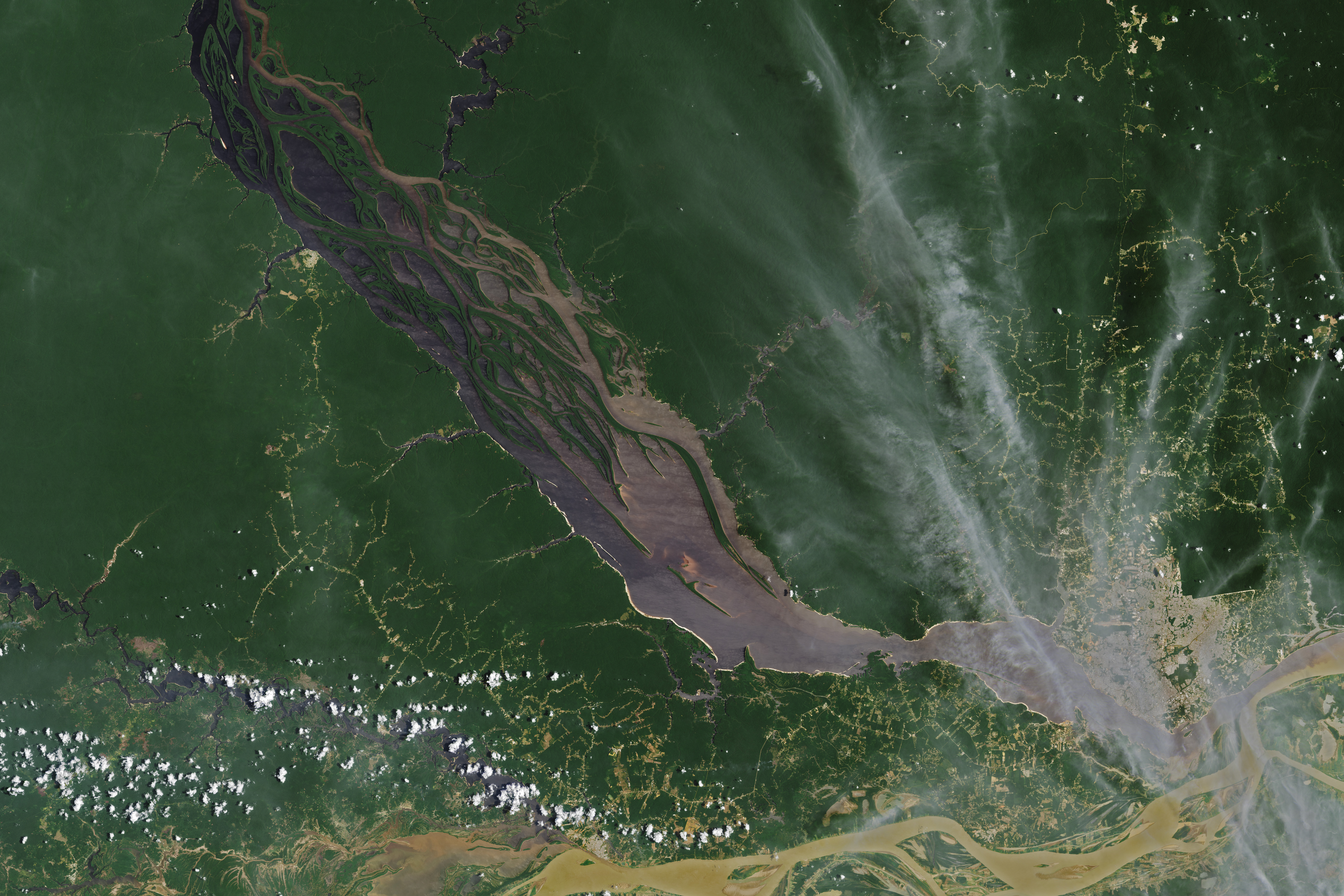 Drought on the Rio Negro - related image preview