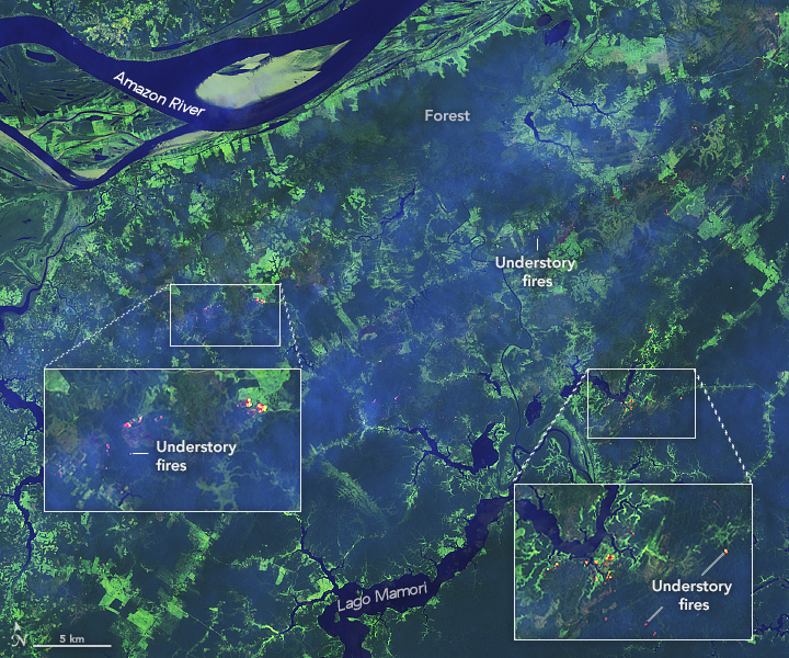 Drought Fuels Wildfires in the Amazon - related image preview