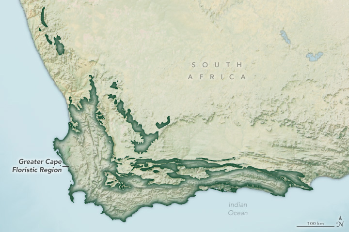 South Africa’s Greater Cape Floristic Region