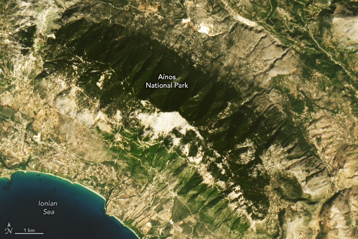Green Forests and Dark Skies in Cephalonia - related image preview