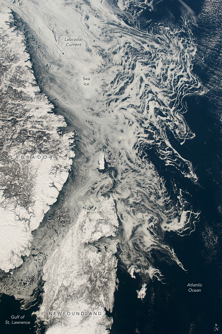 Livraison de glace de mer depuis le cercle polaire arctique