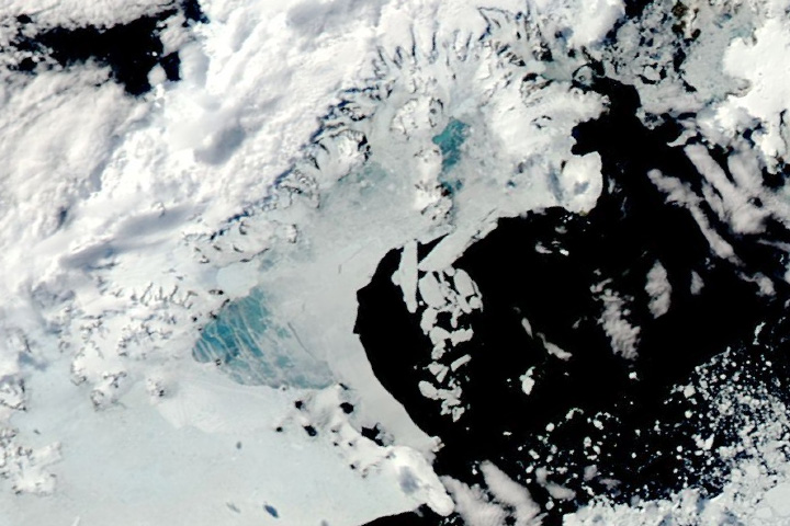 Sea Ice Blues off the Antarctic Peninsula