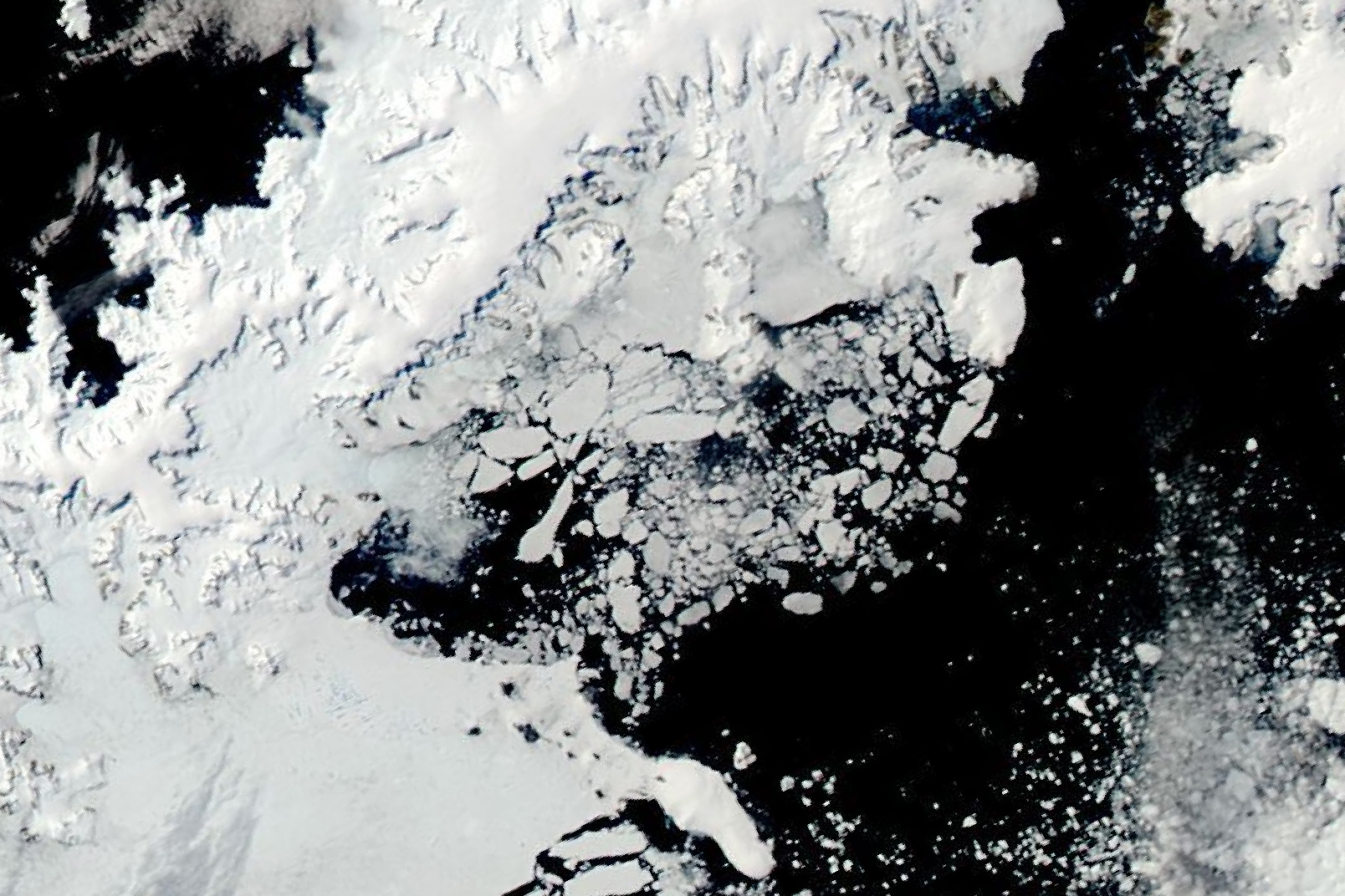 Sea Ice Blues off the Antarctic Peninsula - related image preview