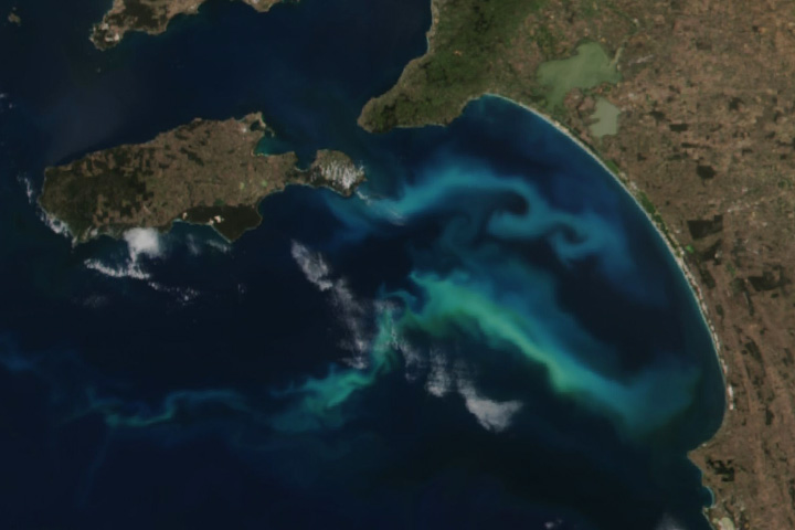 Filaments of Phytoplankton in Australia - selected image