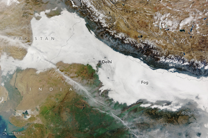 Fog Blankets the Indo-Gangetic Plain