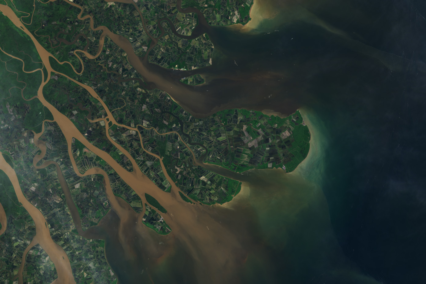 Indonesia’s Mahakam Delta - related image preview