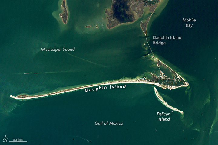 Dynamic Dauphin Island - related image preview