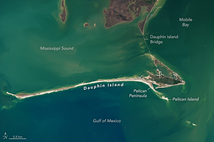 Dynamic Dauphin Island