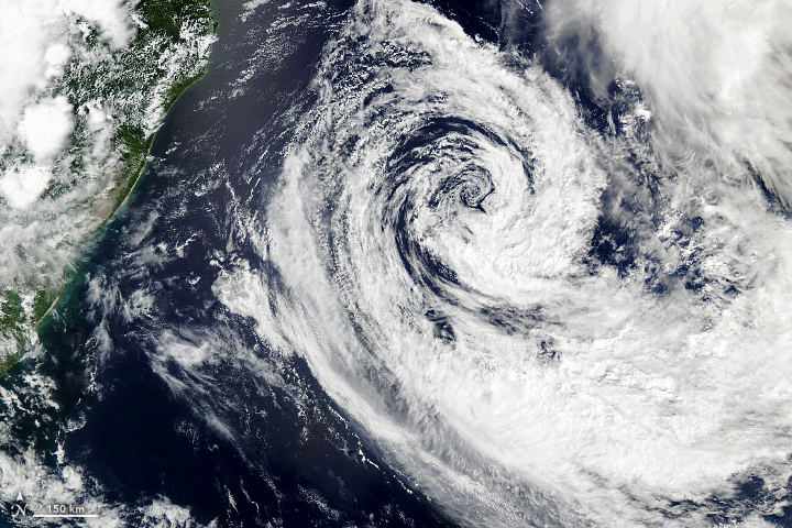 A Rare Tropical Storm in the South Atlantic - related image preview