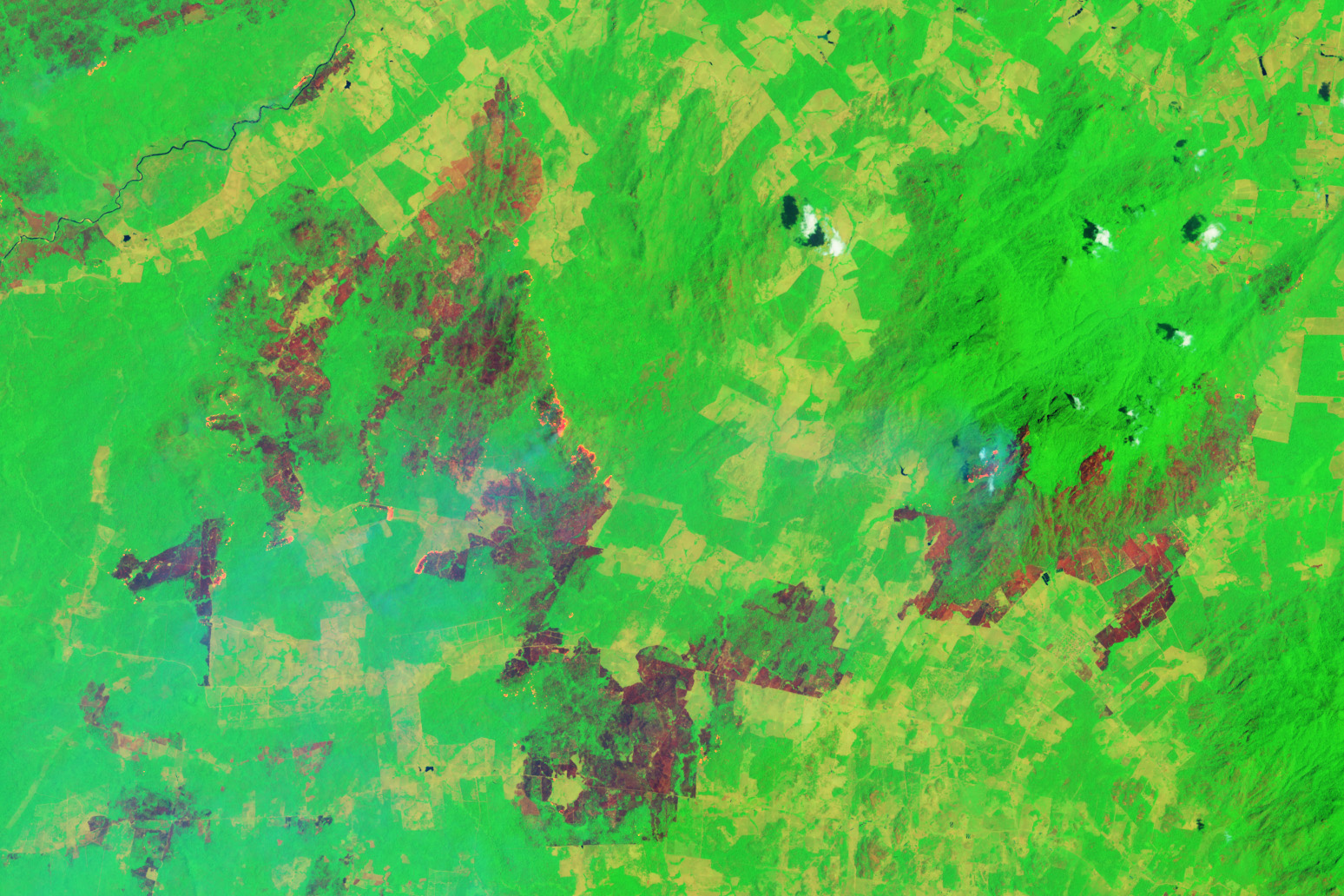 Amazon Forest Fires Rage in Roraima - related image preview