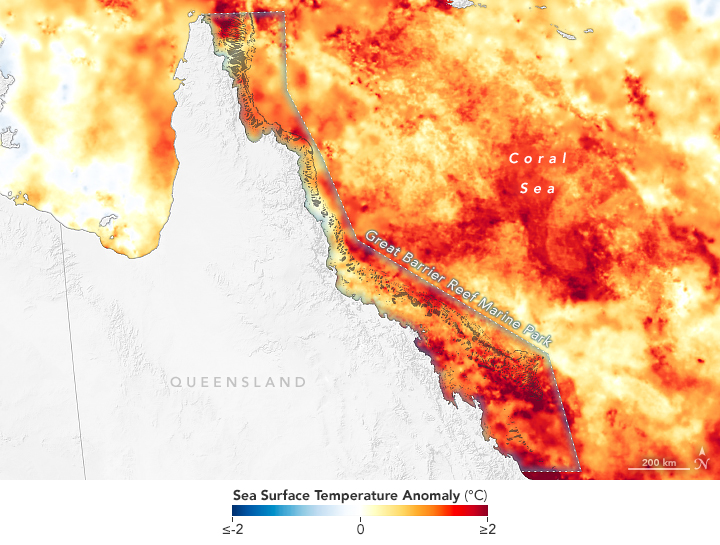 Heat Stress on the Great Barrier Reef