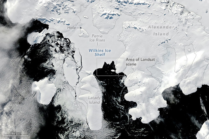 Is the Wilkins Ice Shelf Weakening? - related image preview