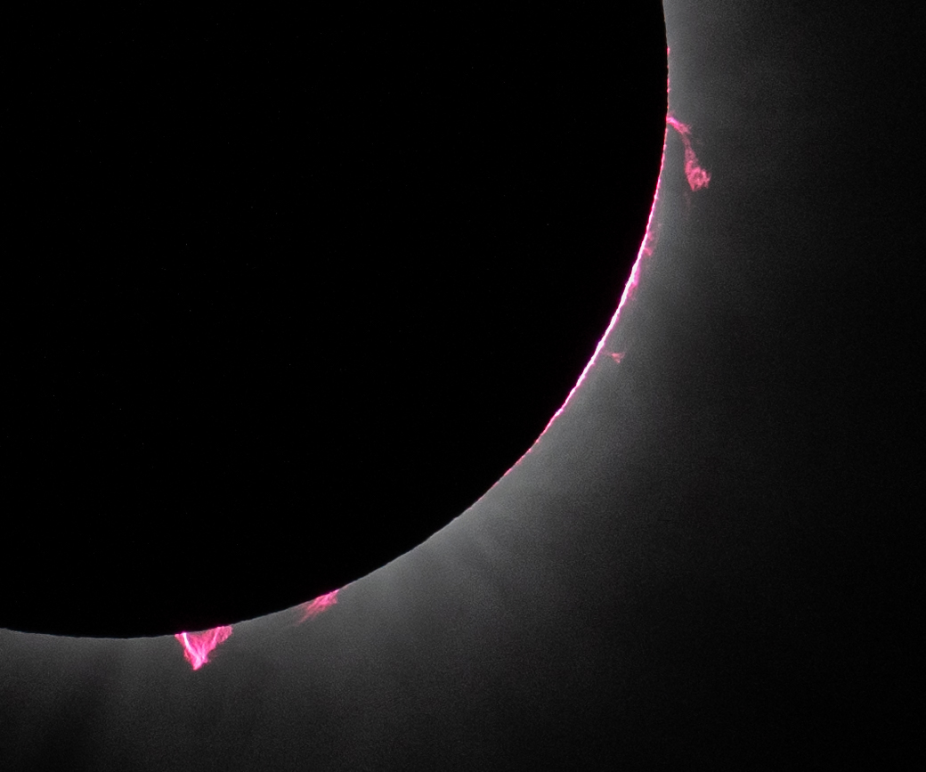 Looking Up and Down During the Eclipse - related image preview