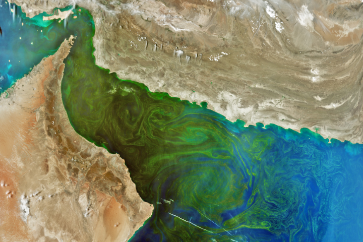 Complex Beauty in the Gulf of Oman