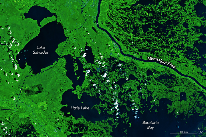 Hurricanes Have Left Their Mark on Louisiana’s Wetlands - related image preview