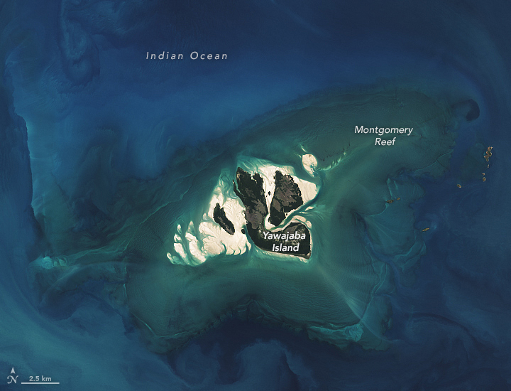 Montgomery Reef Revealed - related image preview