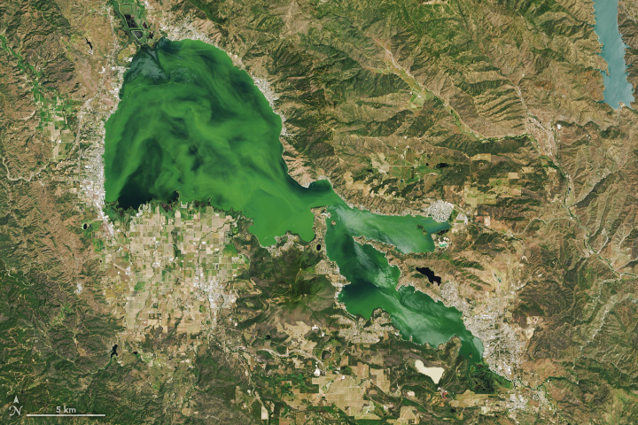 Clear Lake Clouded by Algae