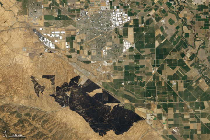 Grass Fire Chars California - related image preview