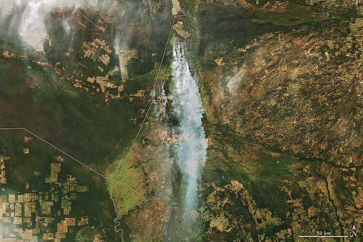 Early Fires in Brazil’s Pantanal - related image preview