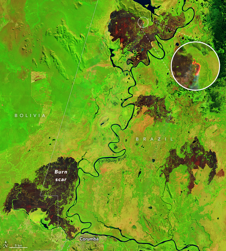 Early Fires in Brazil’s Pantanal