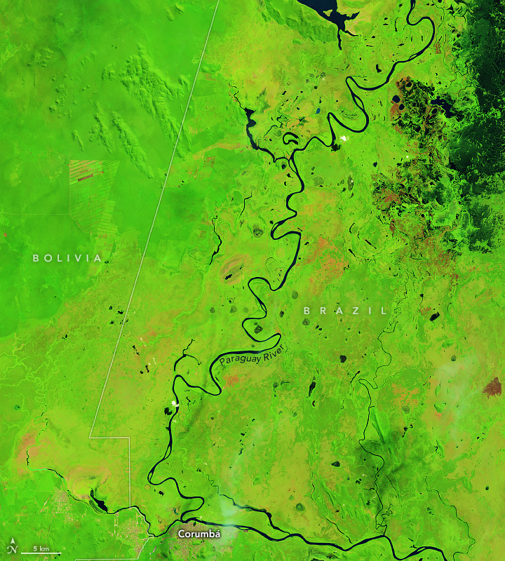 Early Fires in Brazil’s Pantanal - related image preview