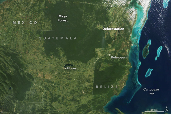 The Shrinking Selva Maya